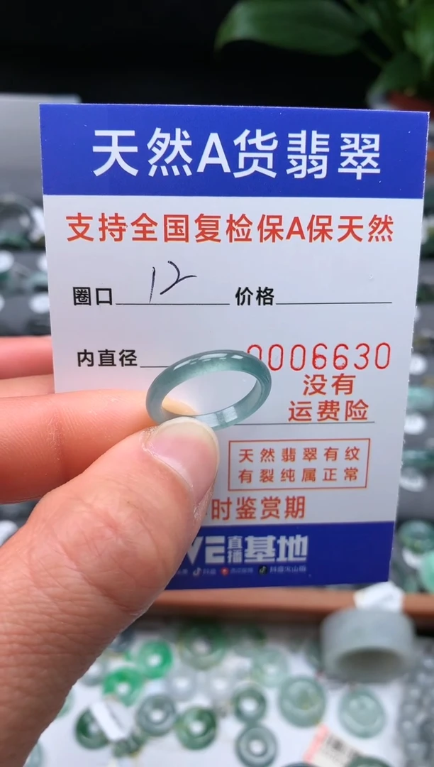 【闪购商品】翡翠戒指未镶嵌0000006630