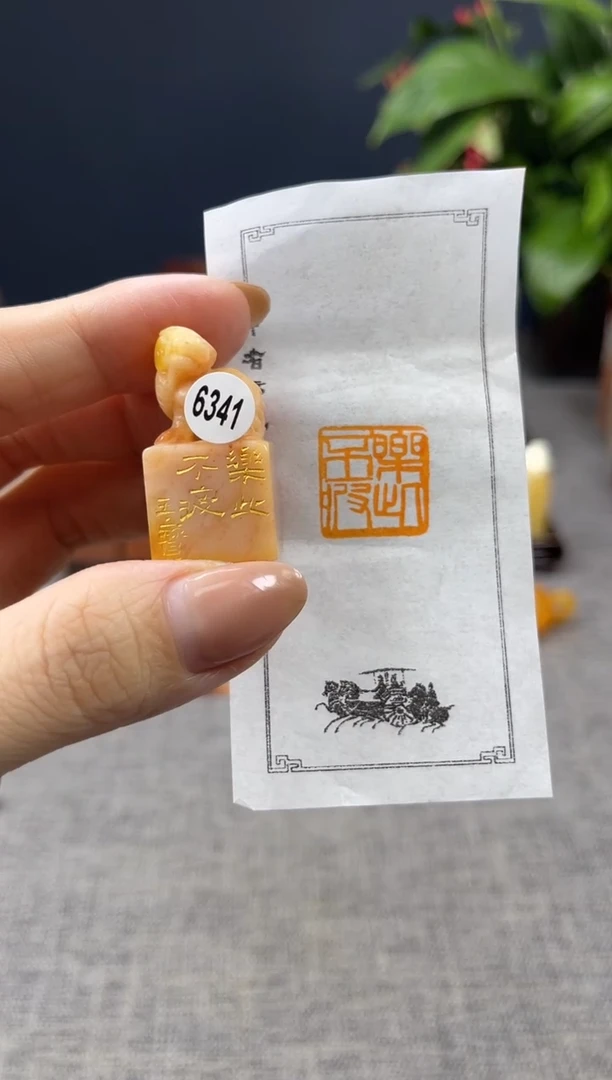 【闪购商品】寿山石印石6341