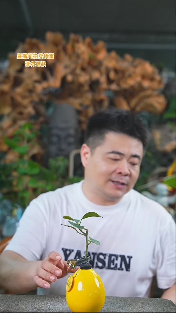 完全开放菩提440T