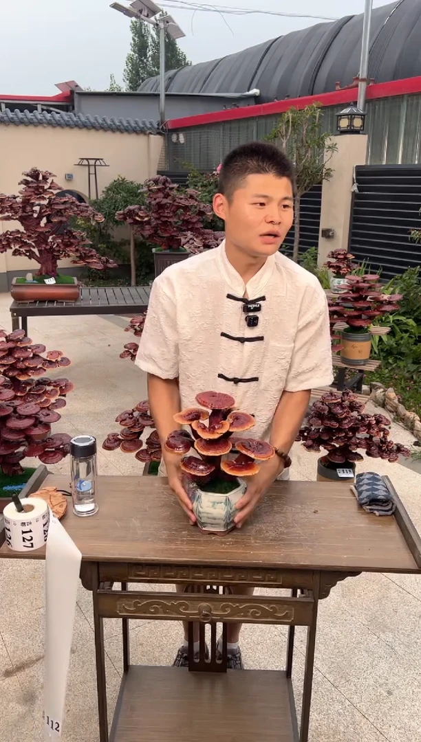 木8888888888888888888888888