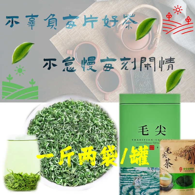 特级贵州高级毛尖绿茶新茶明前高山云雾春茶浓香手工采摘茶叶