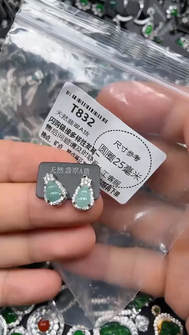 翡翠未镶嵌颈饰T832耳钉