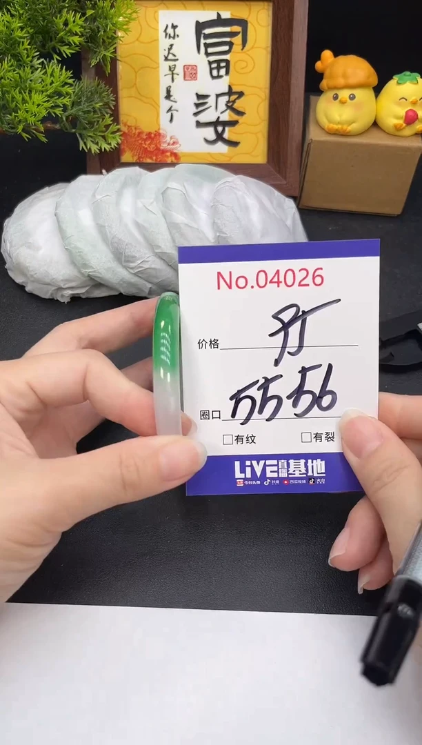 未镶嵌手镯翡翠4026