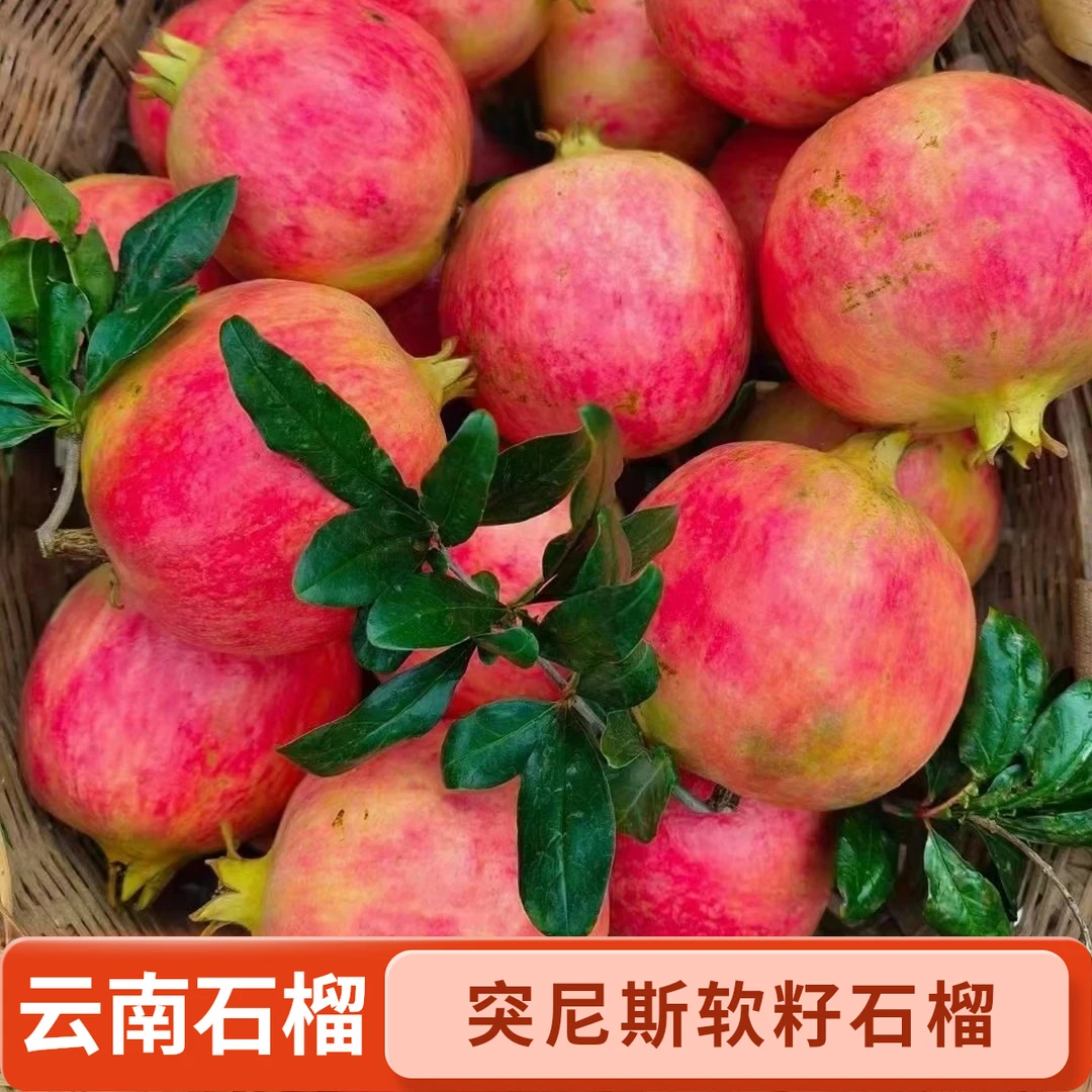 石榴云南会泽突尼斯直发盐水软籽石榴新鲜现摘现发爆甜无籽