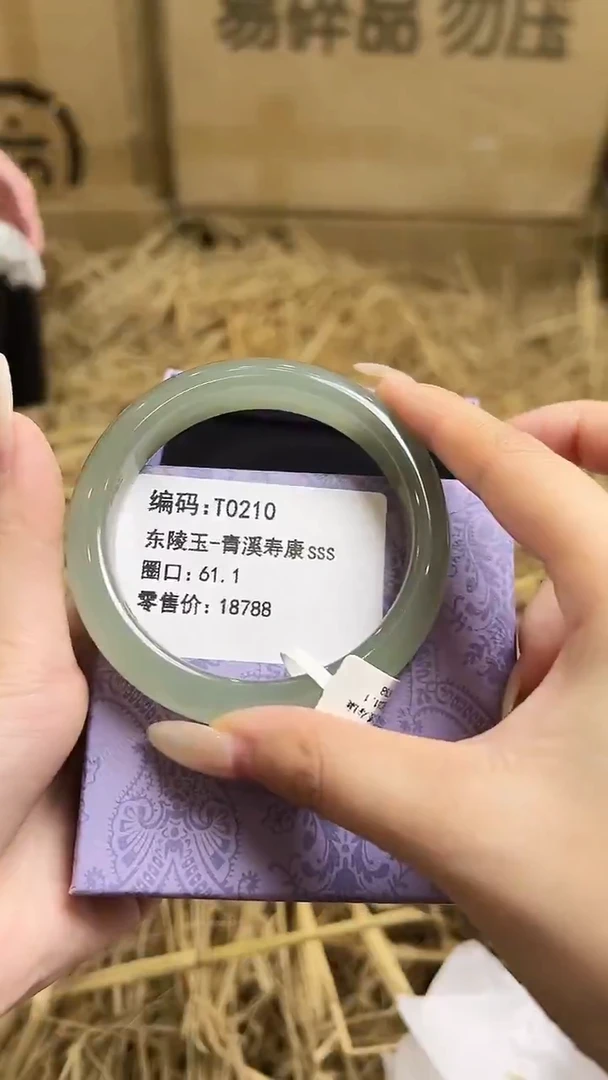 未镶嵌手镯石英岩玉T0210