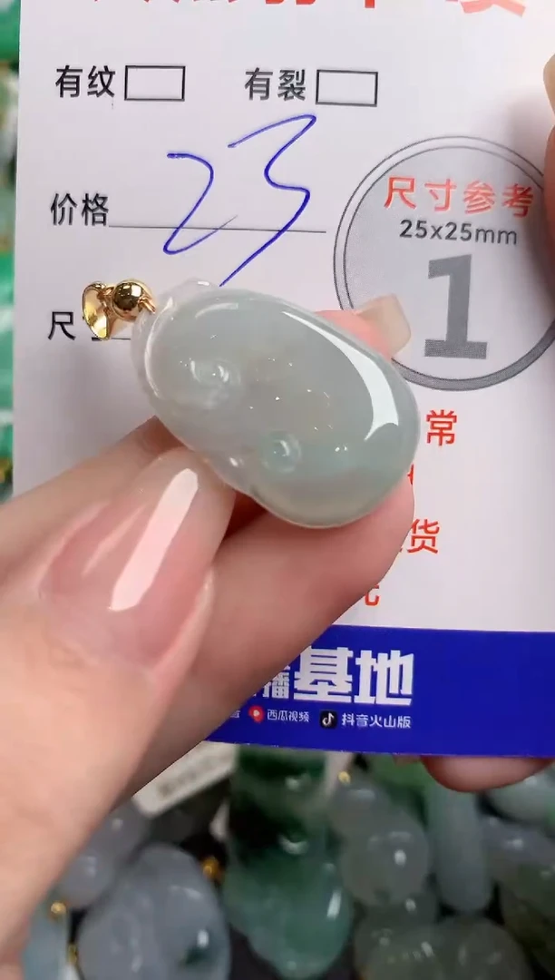 翡翠未镶嵌颈饰24002110
