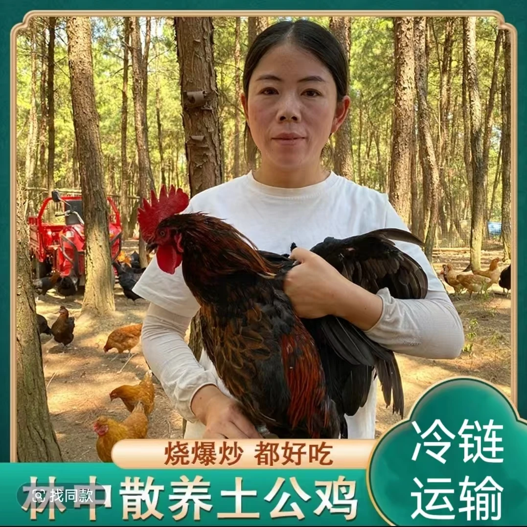 【山鸡哥】散养黑脚土公鸡 发2只净重共6斤 带内脏