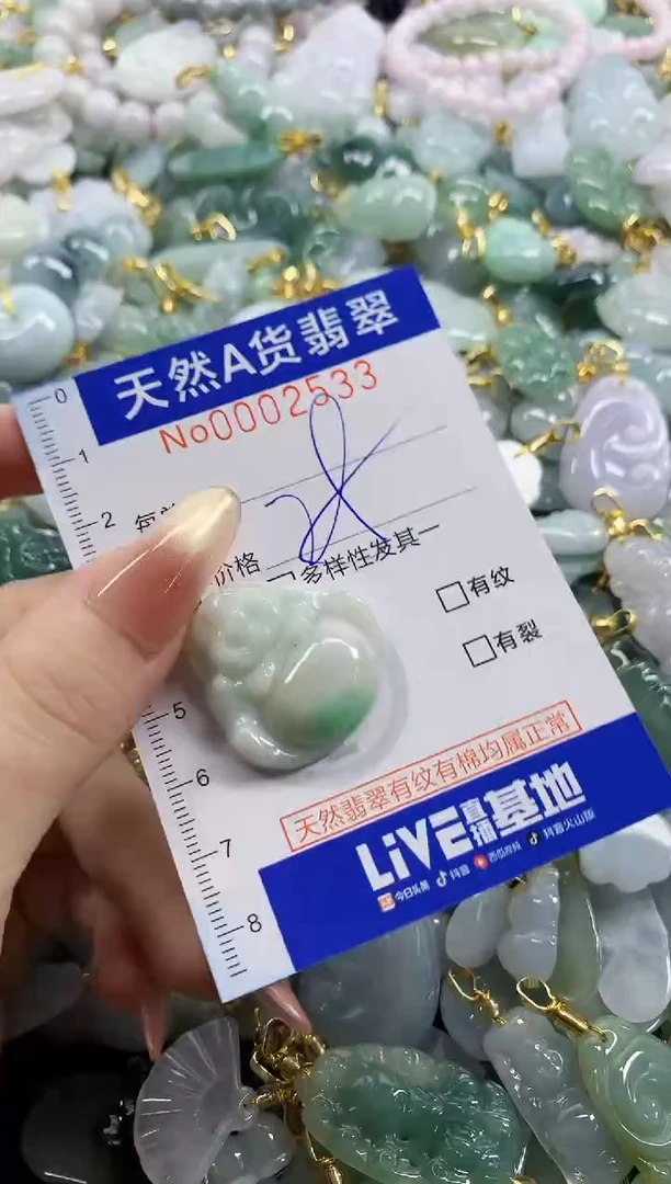 颈饰未镶嵌翡翠天然A货翡翠