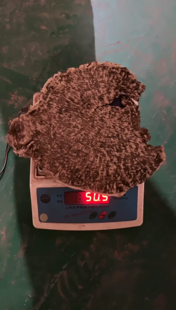 海南板头 50.5克