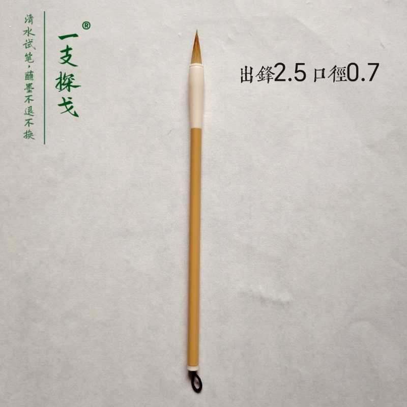 老师同款花鸟山水初学者用笔