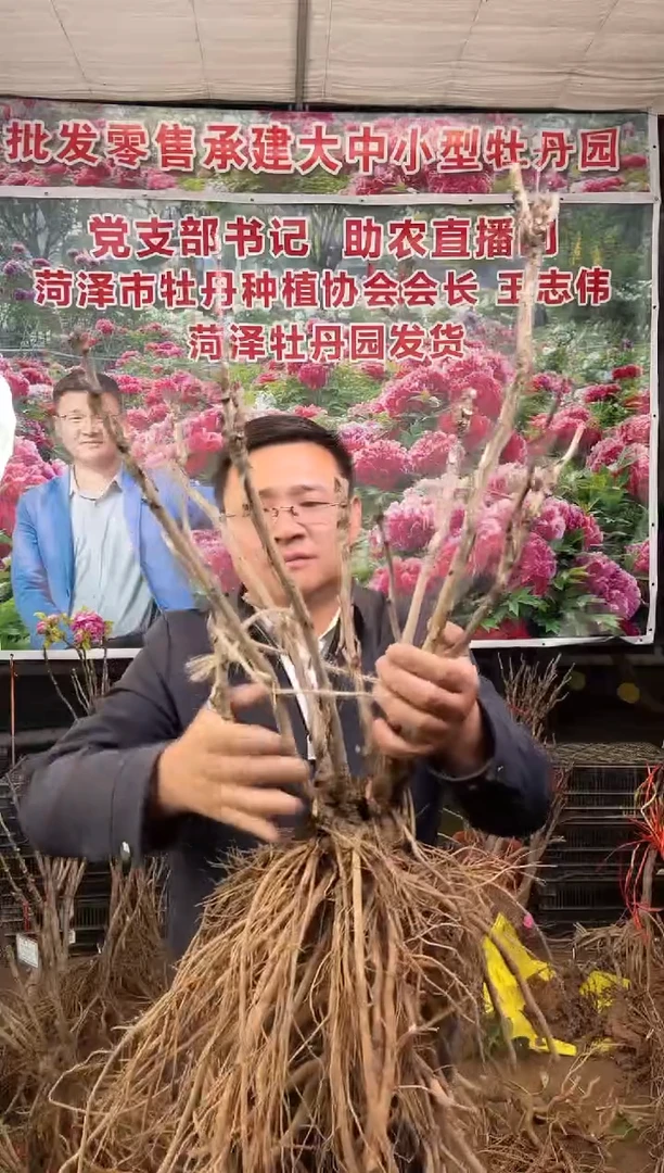 闪购链接  豆绿4