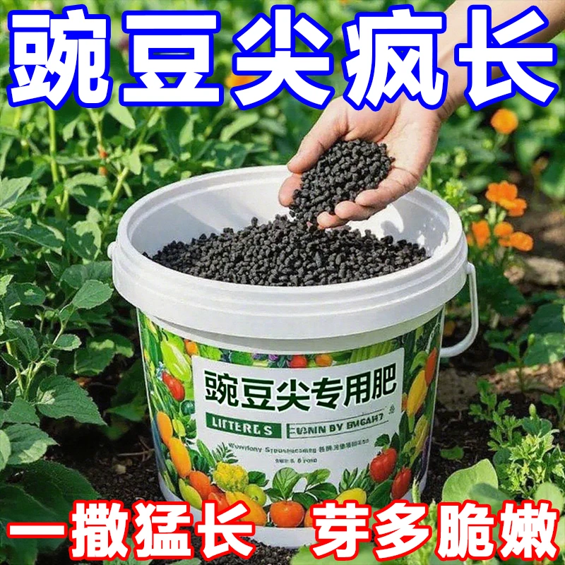 豌豆提苗爆长剂壮苗生根液根系粗壮快速生长提前上豌豆尖专用肥料