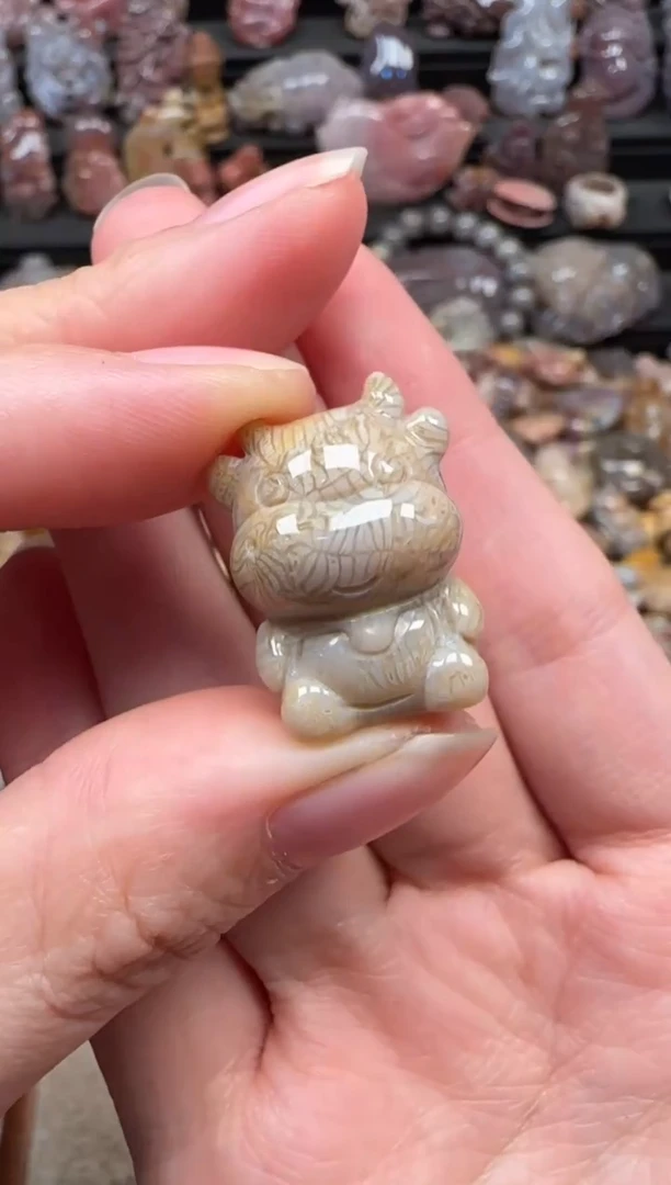 颈饰未镶嵌硅化珊瑚（珊瑚玉）271