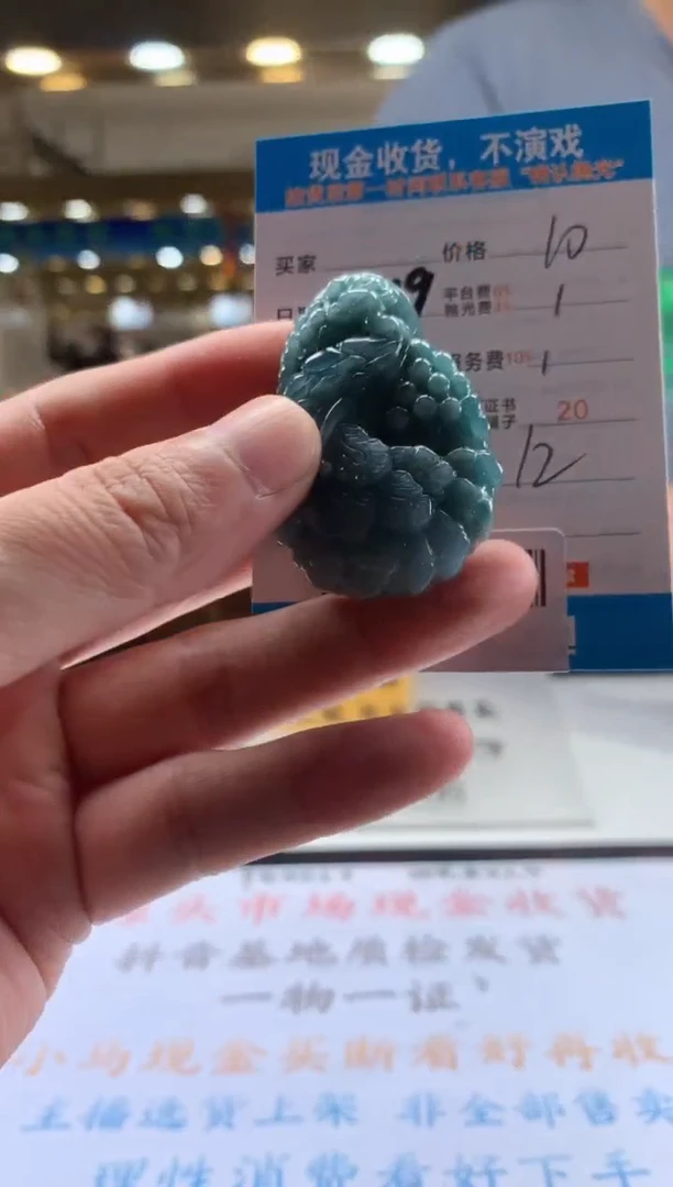 颈饰未镶嵌翡翠天然翡翠A货拍一发一