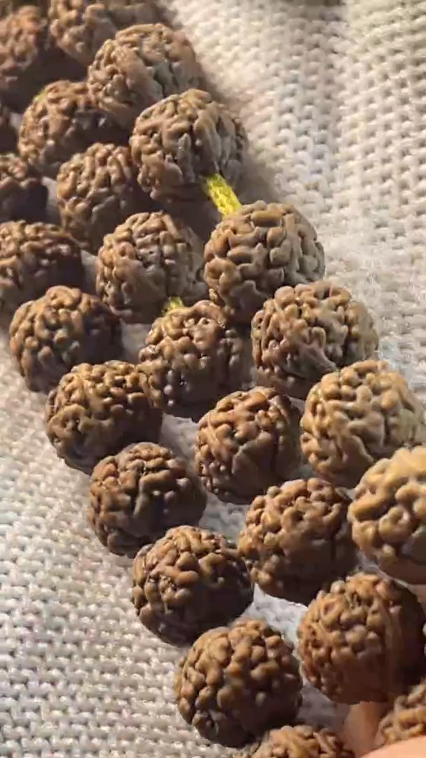 【闪购商品】金刚菩提手串灰皮一代龙真空包装