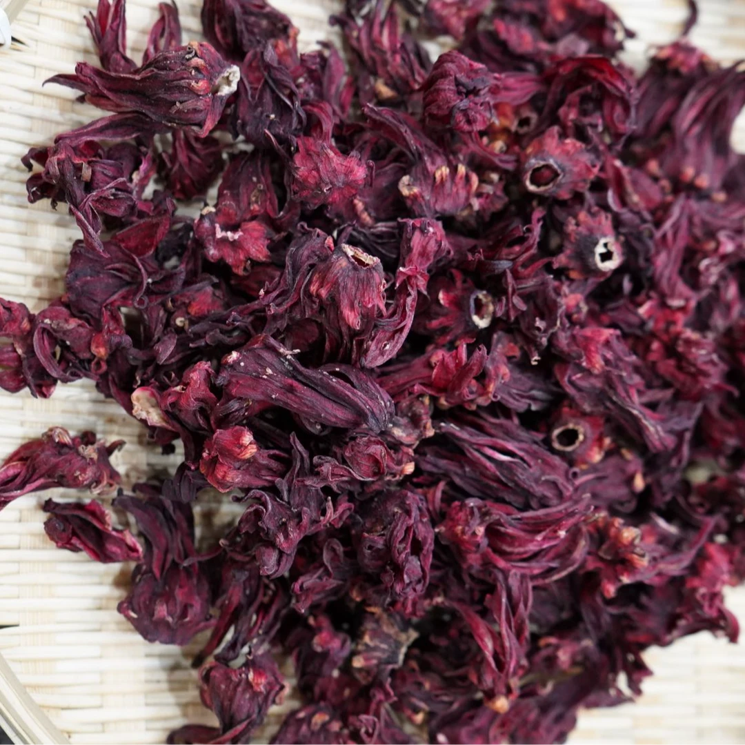 广西精选大朵洛神花