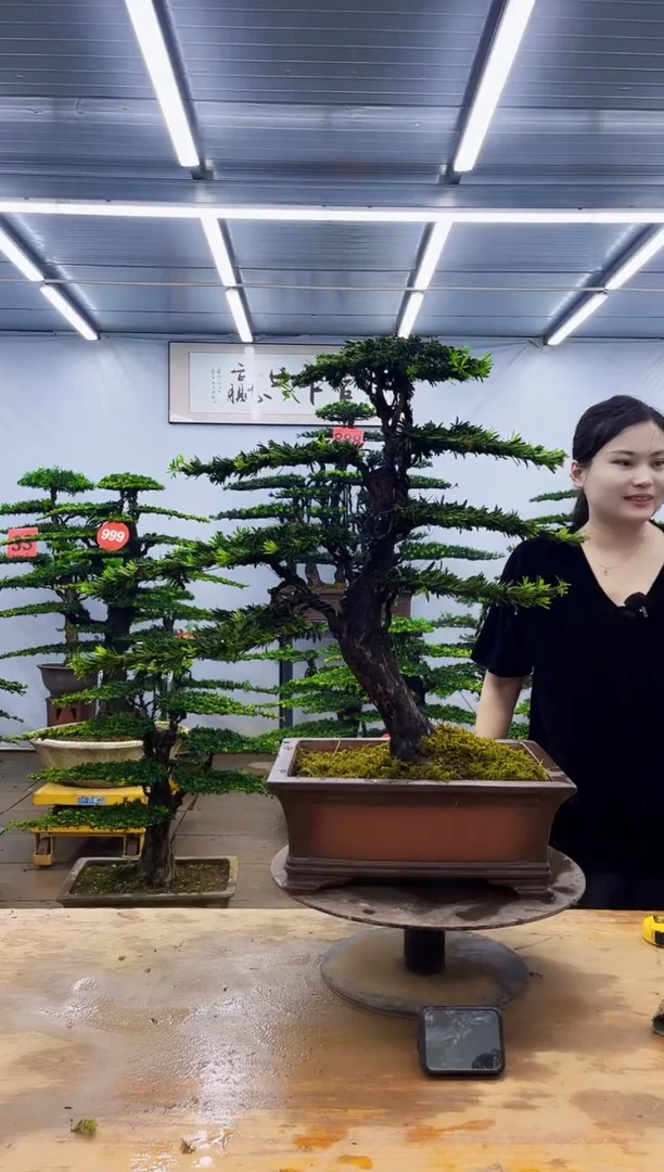 无花朵一物一拍，所见即所得