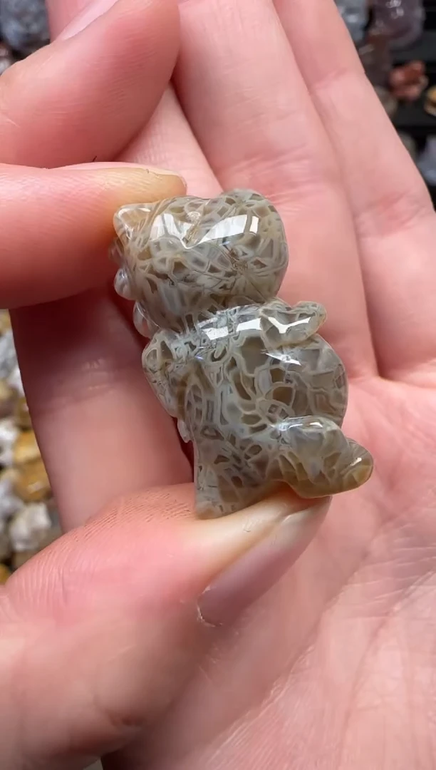 颈饰未镶嵌硅化珊瑚（珊瑚玉）236