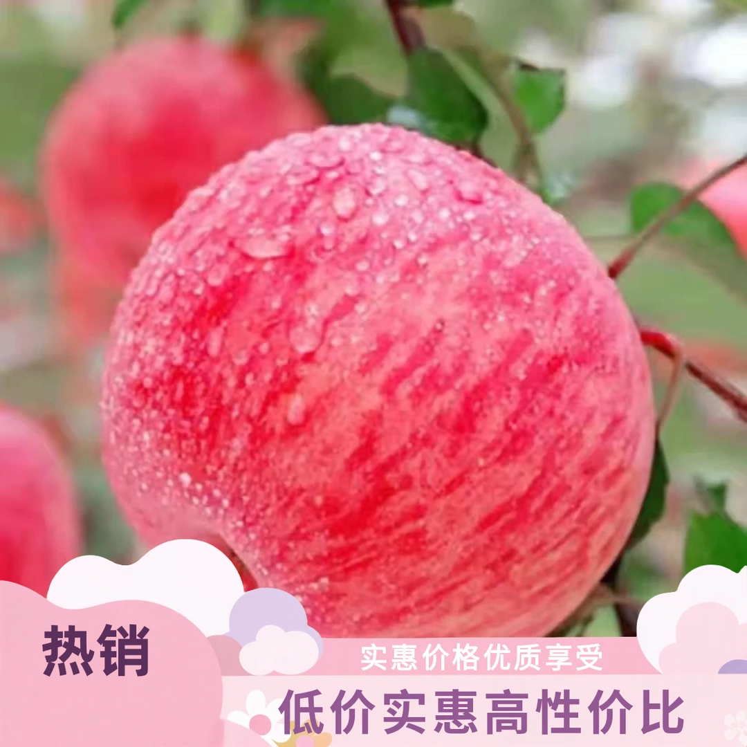 山东烟台苹果富士脆甜多汁39.9元4斤左右山东省