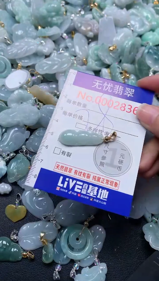 颈饰未镶嵌翡翠2836