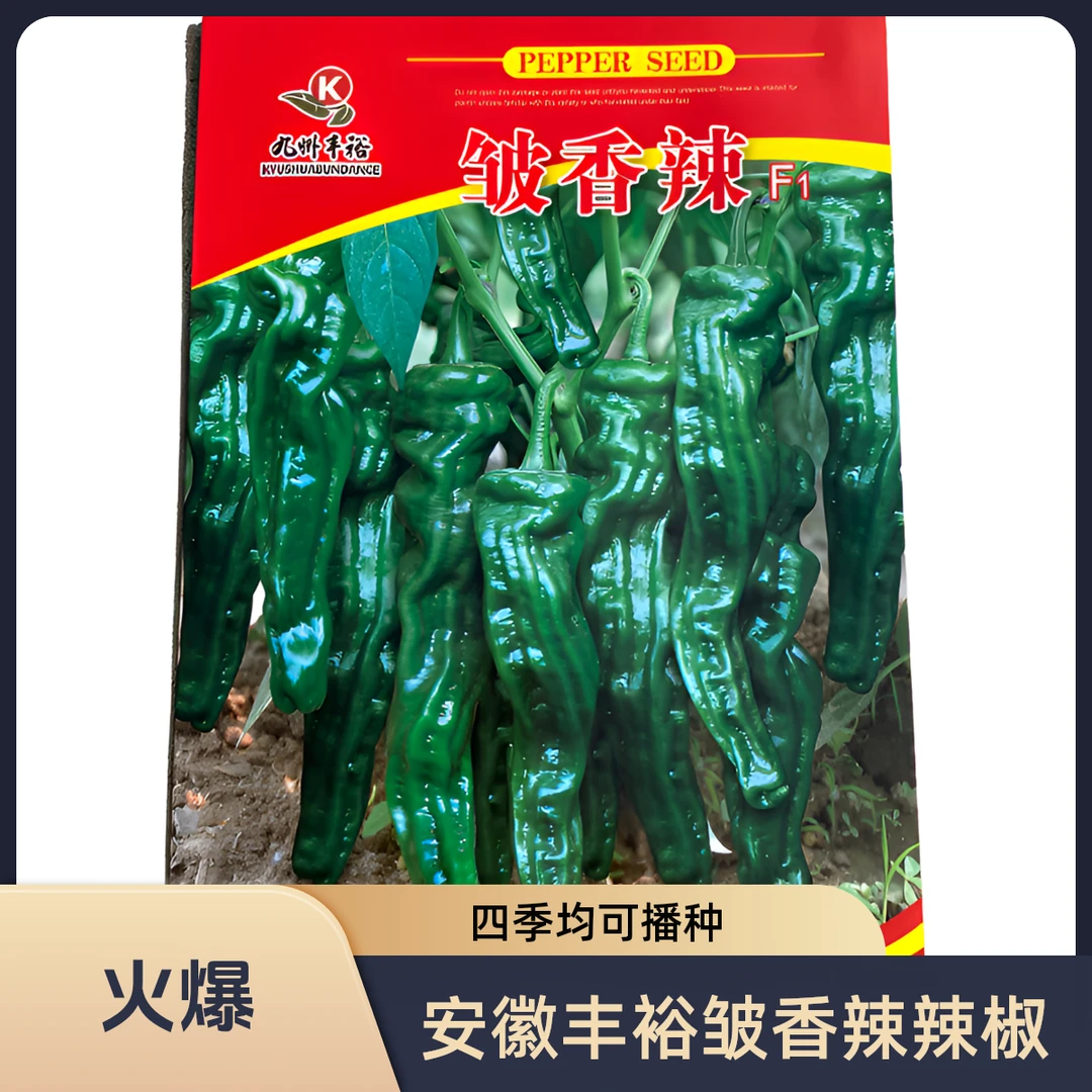 安徽丰裕辣椒种子皱香辣薄皮小皱皮辣椒苗盆栽阳台室内外露天种植