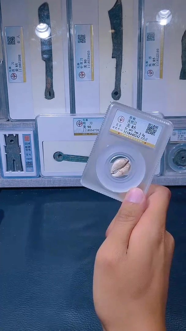 铜琪珍   天然贝   一枚