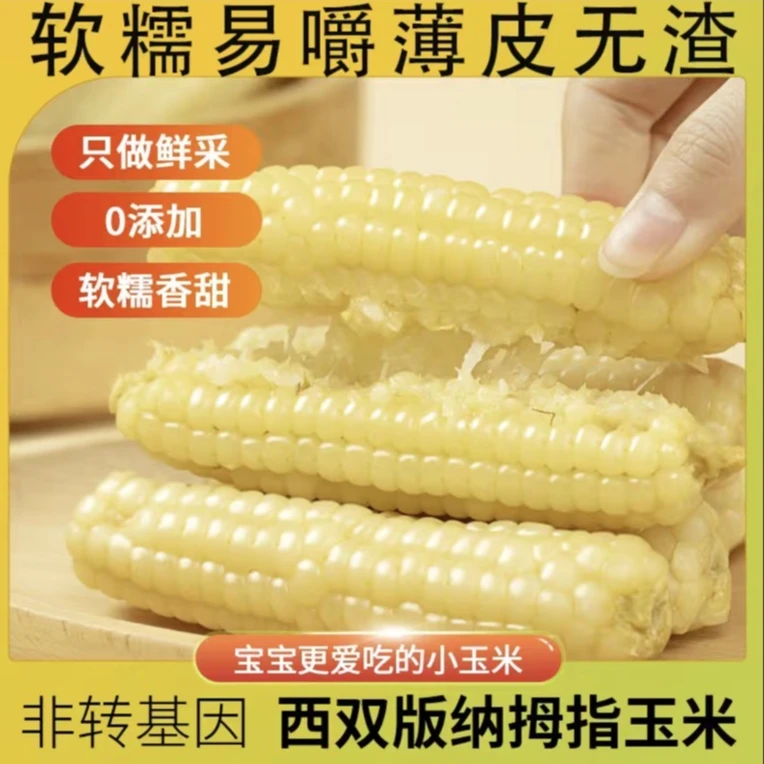 云南西双版纳手指拇指玉米真空装手指玉米迷你现摘锁鲜小白糯玉米
