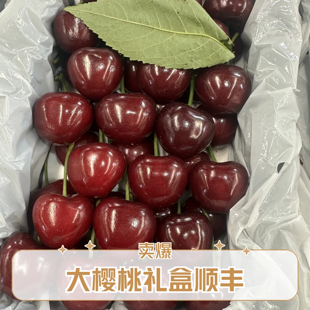 1.5斤大连美早大樱桃4J-5J果王级甄选礼盒顺丰包邮新鲜水果美早