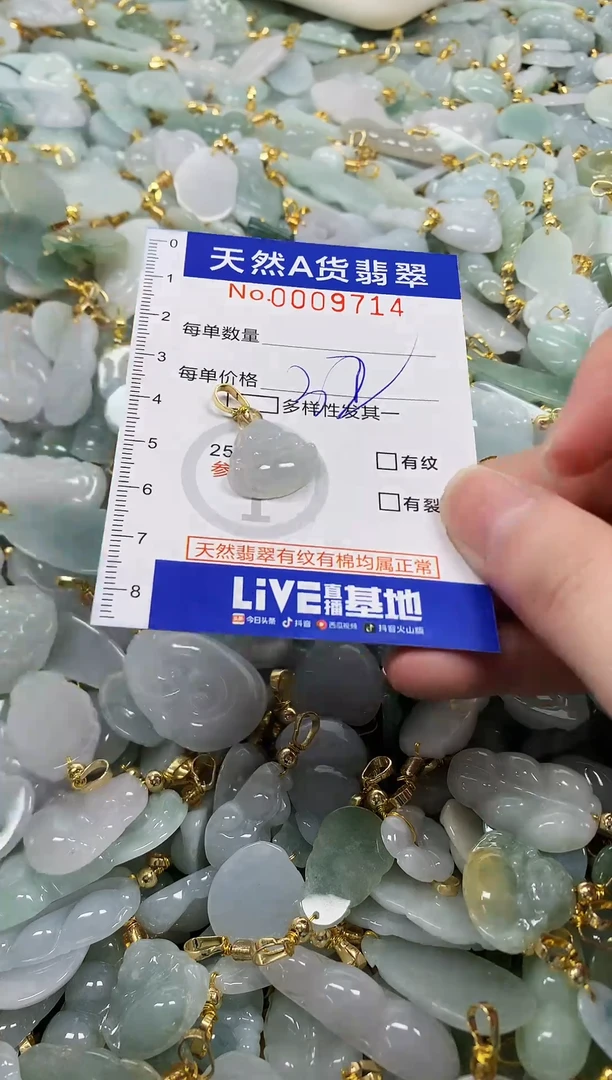 颈饰未镶嵌翡翠纯天然a货翡翠