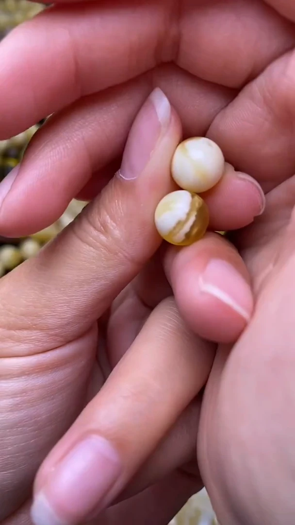 裸石蜜蜡未镶嵌葵.1