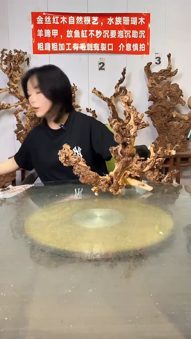 香榧木金丝红木 羊蹄甲