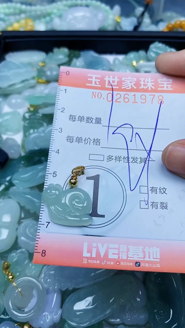 翡翠未镶嵌颈饰闪购0261978