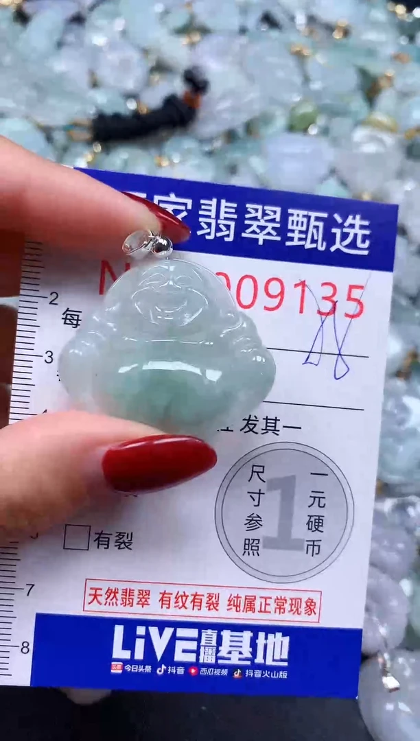 颈饰未镶嵌翡翠9135