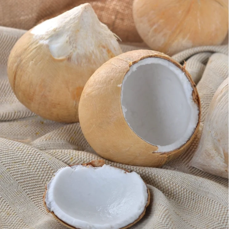 【陈灵岳甄选】泰国进口新鲜老树椰皇大果一份5粒 净重5斤以上