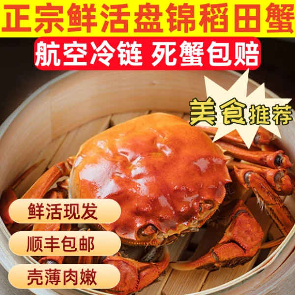 【活蟹】盘锦河蟹母蟹0.8-1两（30只）死蟹包赔顺丰包邮