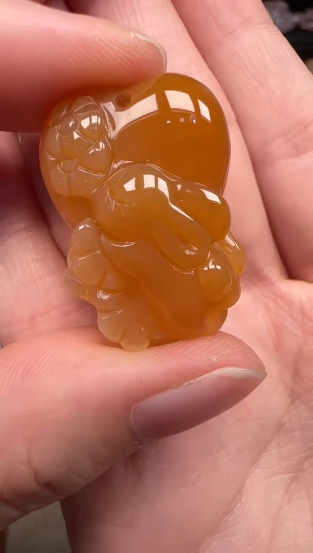 硅化珊瑚（珊瑚玉）未镶嵌颈饰512