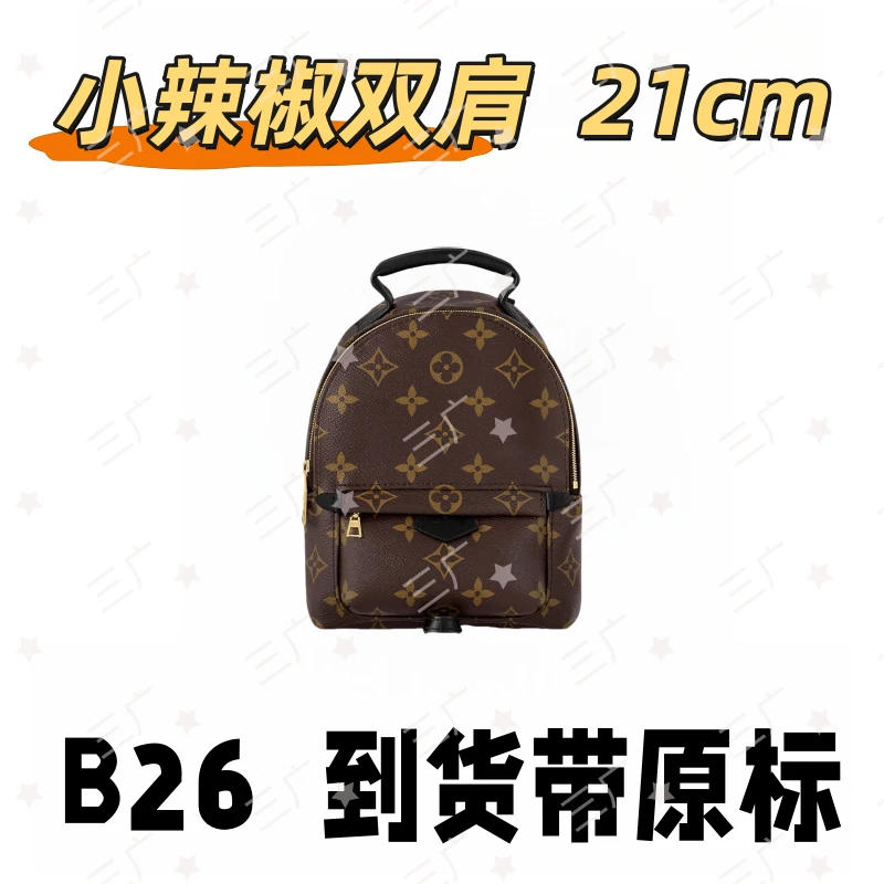 B26 小辣椒双肩 21cm【 轻奢高仿国货】【有礼盒】【无需DIY】斜挎包
