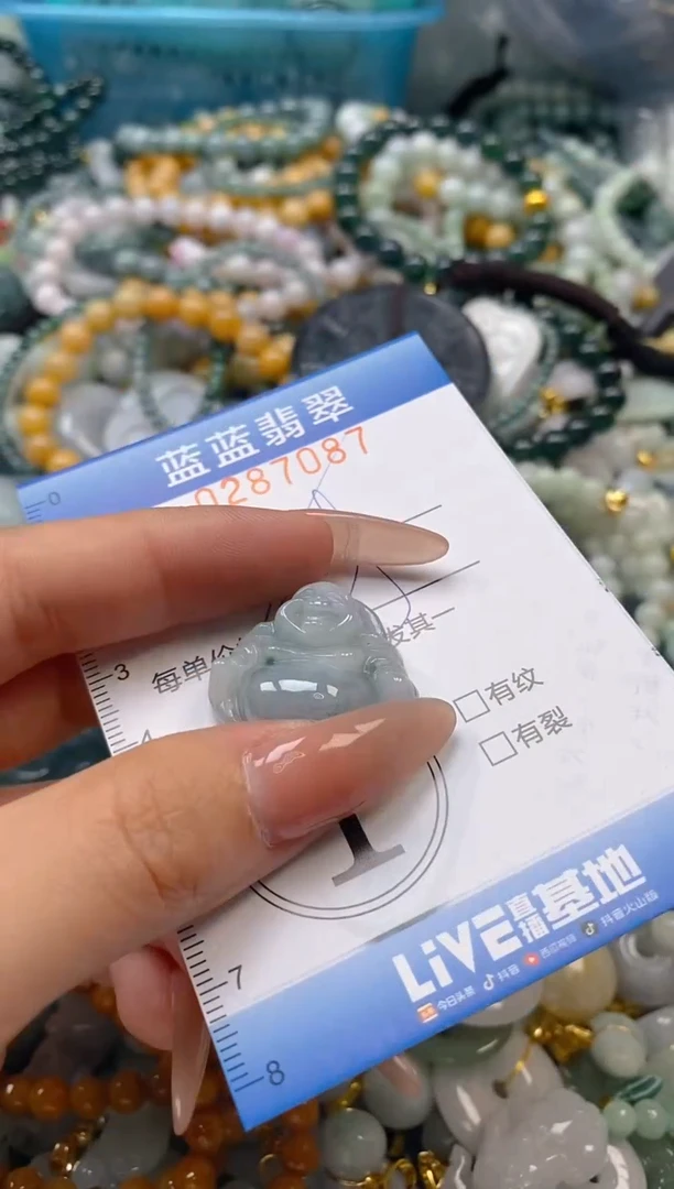 翡翠未镶嵌颈饰闪购0287087