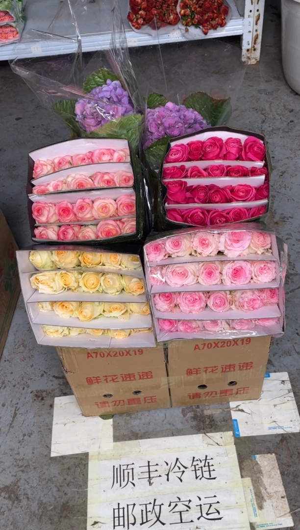 单头玫瑰40枝（任意2个品种）+小绣球1枝（任意色）