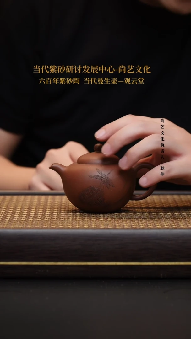 茶壶紫砂宜兴紫砂壶柿圆