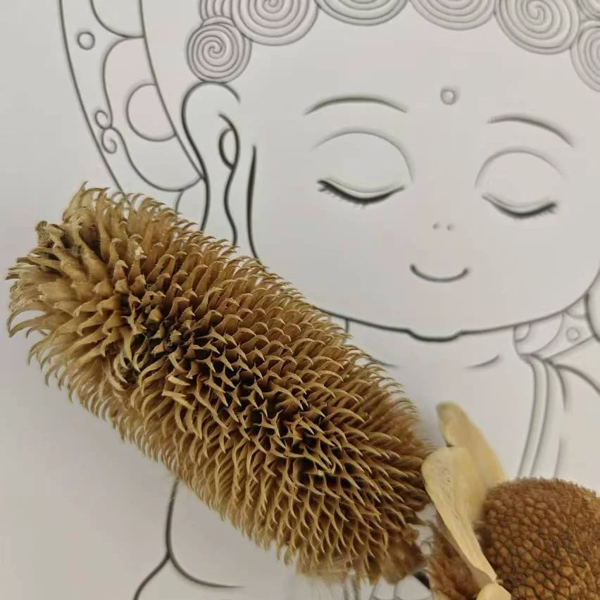 【新手套餐】十二生肖本命佛工笔白描线稿高清画稿12生肖纸质线稿