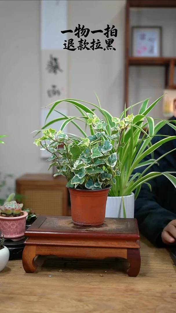 完全开放时**巷雪莹038