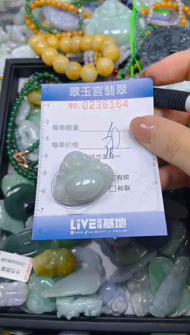 颈饰未镶嵌翡翠闪购C0236164