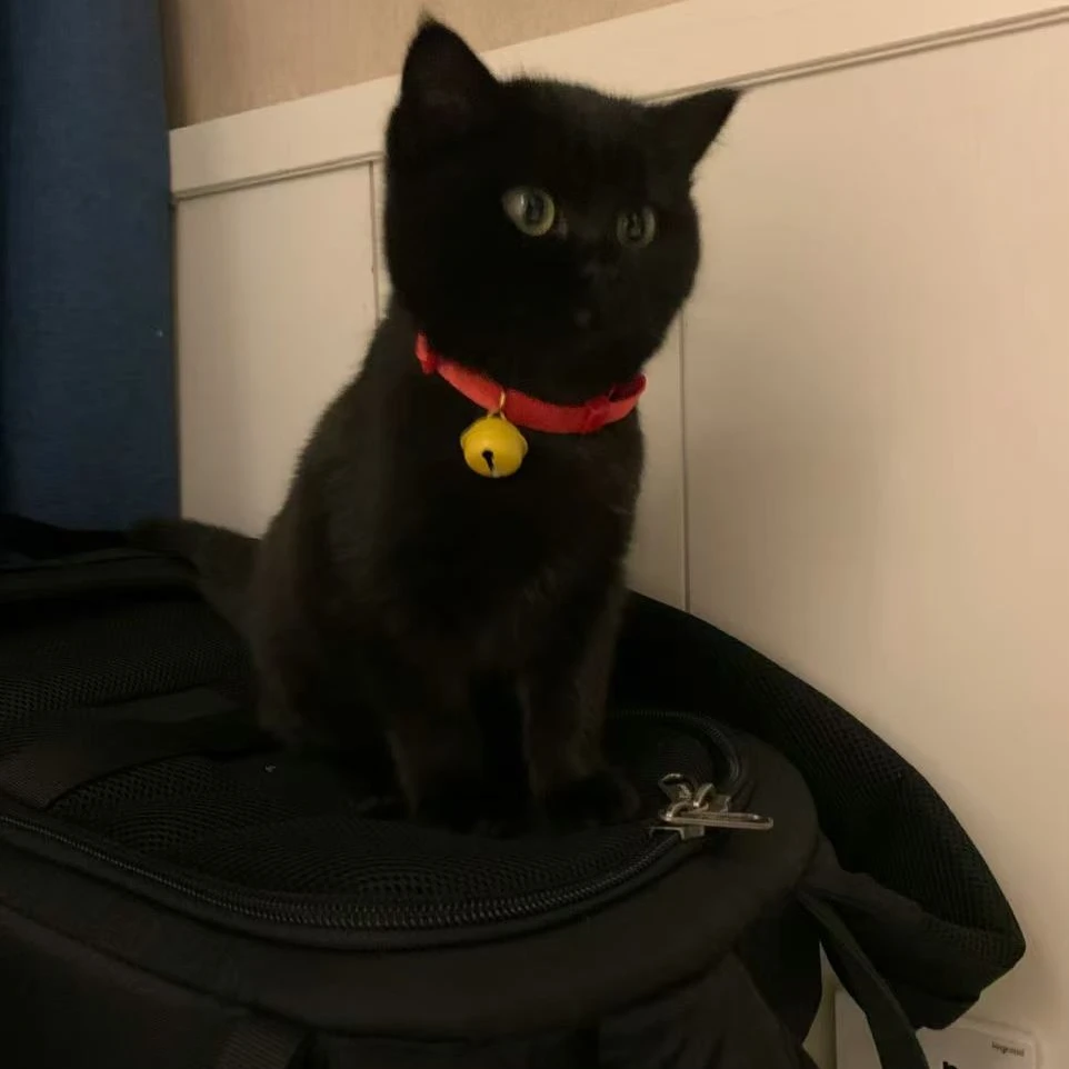 全品类小可爱一对一挑选 不喜欢全额退款