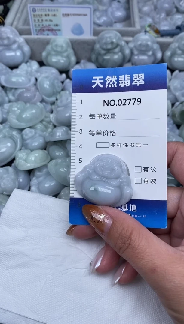 颈饰未镶嵌翡翠纯天然A货翡翠2779