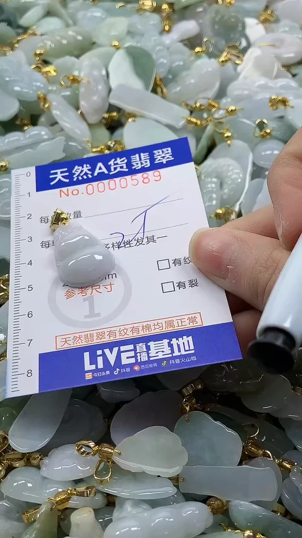 颈饰未镶嵌翡翠纯天然a货翡翠