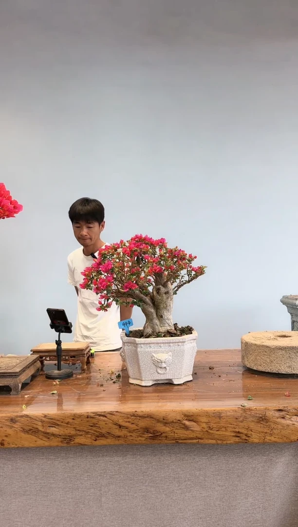 【闪购商品】aa944