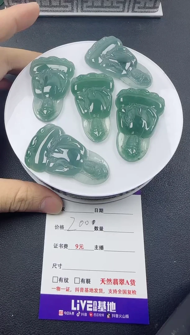 【闪购商品】翡翠颈饰未镶嵌翡翠素衣观音（多样性发其一）