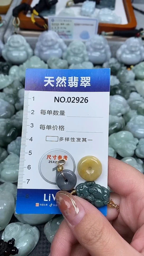 颈饰未镶嵌翡翠纯天然A货翡翠2926