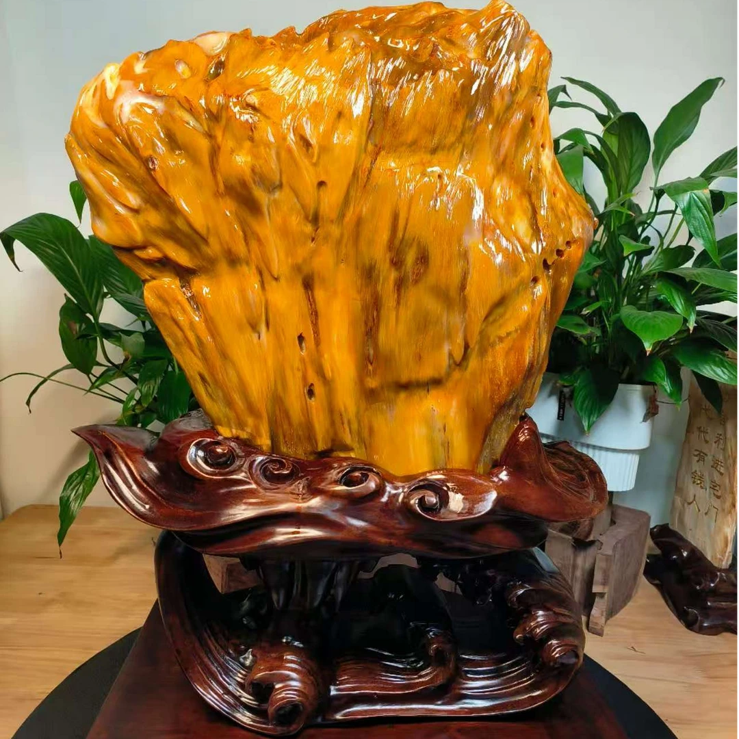 裸石重60斤缅甸天然树化玉摆件金色扭转乾坤造型精美奇石客厅装饰